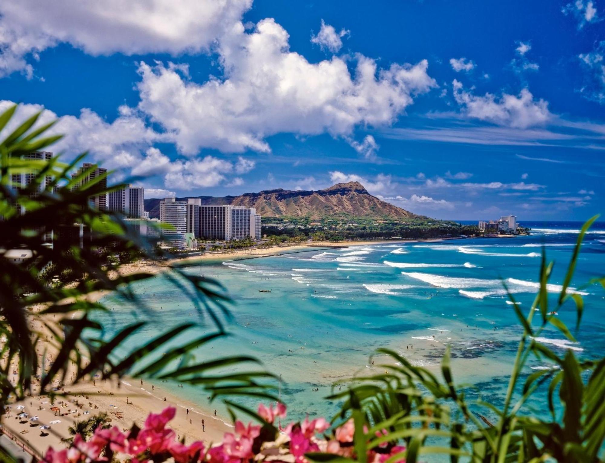 Modern Surf Chic Waikiki Studio Villa Honolulu Esterno foto